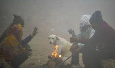 ગુજરાતમાં રહેશે વાદળછાયું વાતાવરણ, જાણો હવામાન વિભાગની લેટેસ્ટ આગાહી