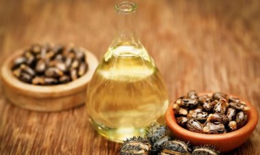 કબજિયાત માટે કાફી છે એક ચમચી એરંડિયું