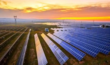 વેરાન જમીન પર સૌર ઊર્જાના બીજ રોપવામાં ગુજરાત પ્રથમ