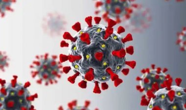 ગુજરાતમાં કોરોનાની એન્ટ્રી : આ શહેરમાં નોંધાયા બે કેસ