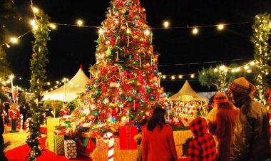 નાતાલ પર મળશે લોન્ગ વીક એન્ડ, ભારતના આ 3 ક્રિસમસ ડેસ્ટિનેશનની કરો મુલાકાત વિદેશમાં ફરતા હશો તેવો થશે અહેસાસ