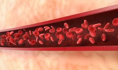 શરીરમાં લોહીની ઉણપ છે તો આ ઘરેલુ નુસખાથી વધારી શકો છો હિમોગ્લોબિનનું લેવલ