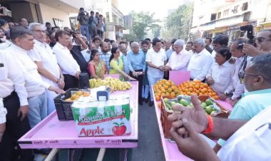 લોકોને રોજગારી માટે લારીઓના વિતરણ