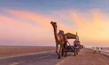 Kutch: કચ્છના ધોરડો સફેદ રણમાં હવે પ્રવાસીઓ માટે નવું આકર્ષણ, જાણો