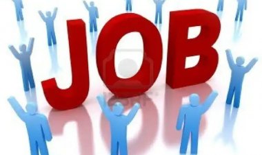 ગુજરાત સરકાર દ્વારા નવી ભરતીની જાહેરાત