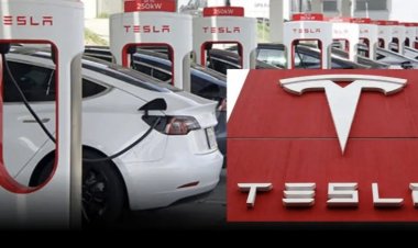 Tesla 2024 માં ગુજરાતમાં મેન્યુફેક્ચરિંગ પ્લાન્ટ ખોલવા માંગે છે