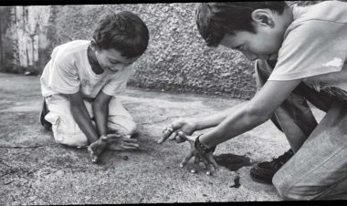 વિસરાતી જતી રમત : લખોટી