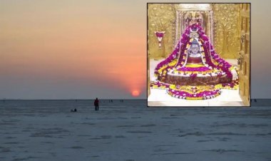 કચ્છના રણોત્સવમાં હવે થશે સોમનાથ મહાદેવના દર્શન, જાણો કઇ રીતે