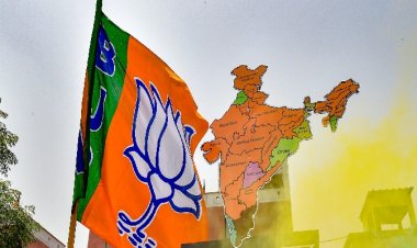 ગુજરાત ભાજપના મહિલા સંગઠન નેતાના ગોવા પ્રવાસની ચર્ચા કમલમ સુધી !