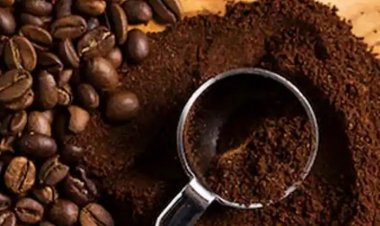 બ્લેક કોફી ડિપ્રેશનથી છુટકારો મેળવવામાં મદદ કરે છે, જાણો દરરોજ પીવાના ફાયદા