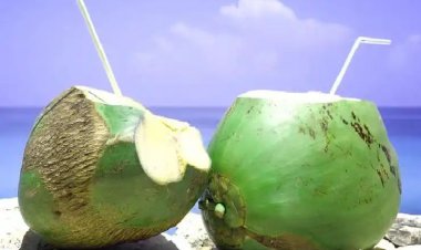 નારિયેળ પાણી પીવાના ફાયદા