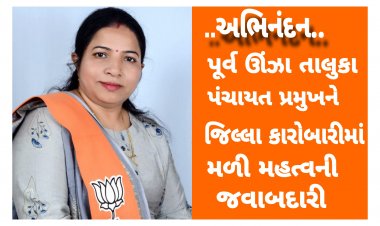 ઊંઝા : તાલુકા પંચાયતના પૂર્વ મહિલા પ્રમુખને જિલ્લા મહિલા મોરચાના પ્રમુખ પદની મળી જવાબદારી