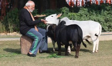 PM મોદી પોતાના ઘરમાં જ કરે છે ગાયોનું પાલન, મકરસંક્રાંતિ પર પ્રેમથી ખવડાવ્યું ઘાસ
