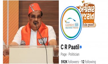 લ્યો બોલો ! સી.આર.પાટીલ 156 માંથી માત્ર આ બે ધારાસભ્યો ને જ ફોલો કરે છે ! જાણો કોણ છે આ બે દિગ્ગજ નેતા ?