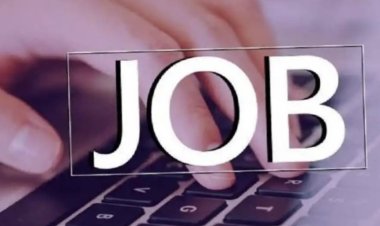 સરકારી નોકરી ન મળી રહી હોય તો પ્રાઈવેટ સેક્ટરમાં આગળ વધો, 2024માં આ ક્ષેત્રોમાં ભરપૂર તક મળશે