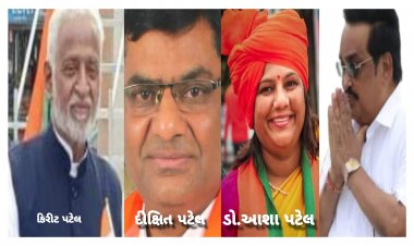 Exclusive: મજબૂત ભાજપ v/s મજબૂર ભાજપ : સી.આર.પાટીલ પણ લાચાર ?