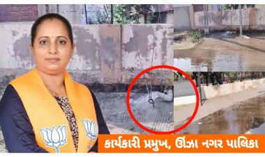 ઊંઝા : કાર્યકારી પ્રમુખે ચાર્જ લેતાં જ બુમરાડો શરૂ : પાણી પાણી ના પોકાર પડ્યા !