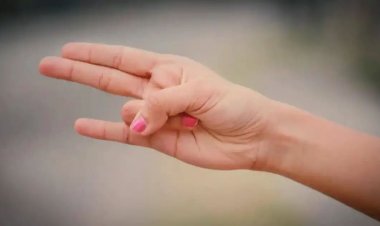 વ્યસ્ત જીવનમાં ફિટ રહેવા માટે રોજ હાથની મુદ્રાઓ, તમને અદ્ભુત લાભ મળશે