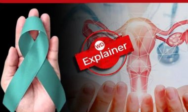 શુ હોય છે cervical cancer જેણે લીધો અભિનેત્રી, મોડલ poonam pandey નો જીવ, કેવી રીતે બચશો આ cancer થી