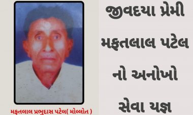 માનવતા મહેકે છે / ઊંઝાના ઐઠોરના જીવદયા પ્રેમી મફતલાલ પટેલની સેવાકીય પ્રવૃતિઓને યુવાનોએ આજે પણ જાળવી રાખી છે !
