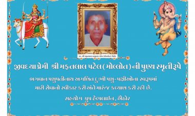 માનવતા મહેકાવતો કિસ્સો : ખેતરોમાં રખડતા શ્વાનો માટે રોટલી ઘર શરૂ કરાયું, જાણીને કરશો પ્રસંશા