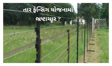 ઊંઝા : ખેડૂતો માટેની ' ફેંસિગ તાર યોજના ' માં કૌભાંડ ? સોશ્યલ મીડિયામાં ઓડિયો વાયરલ થતા ખળભળાટ