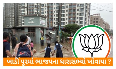 સુરત : ખાડી પૂરમાં ભાજપના કેટલાક ધારાસભ્યો ખોવાયા : મેયર અને કોર્પોરેટરો મેદાનમાં ઉતર્યા