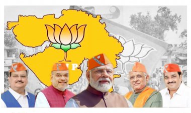 Exclusive: ભાજપના નેતાઓની શુભેચ્છા જાહેરાતોમાં મોદી, શાહ, સી.એમ અને સી.આર ગાયબ ! વ્યક્તિગત પ્રસિદ્ધિ ના અભરખા ?