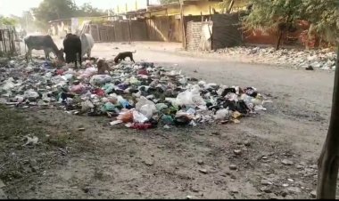 રાધનપુર : પાલિકાની નબળી કામગીરી સામે વેપારીઓમાં રોષ : ચીફ ઓફિસરે શું કહ્યું ?