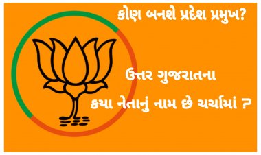 Exclusive/ કોણ બનશે ગુજરાત ભાજપ પ્રદેશ પ્રમુખ ? ઉત્તર ગુજરાતના કયા નેતાનું નામ છે ચર્ચામાં ?