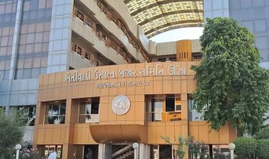 ઊંઝા :  તો જિલ્લા ભાજપ પ્રમુખ રાજગોર ખોટા સાબિત થશે ? ભાજપના સિમ્બોલ પર નહિ બલકે પોતાના દમ પર ચુંટણી લડનારને મત આપજો