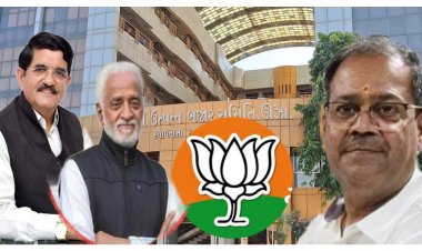 ઊંઝા : APMC ના ચૂંટણી પરિણામોમાં  ભાજપનું મેન્ડેડ મજાક બન્યું : હારની જવાબદારી કોણ સ્વીકારશે ?