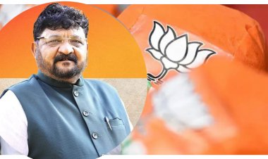 મહેસાણા : ભાજપે  રાજ્યસભા સાંસદ મયંક નાયક ને આપી મોટી જવાબદારી