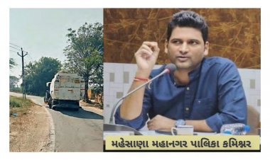 મહેસાણા : મનપા કમિશ્નર ની આ કામગીરી ની નગરજનો પણ કરી રહ્યા છે પ્રસંશા !
