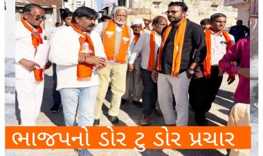 વડનગર : વોર્ડ નં 1 માં ભાજપનો ડોર ટુ ડોર પ્રચાર : ઉમેદવારો ને પ્રચંડ જન સમર્થન