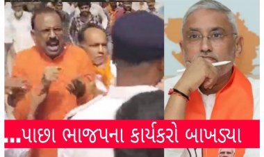 Breaking: સુરત બાદ સિધ્ધપુર ભાજપમાં ભડકો : વિશ્વકર્માના સ્વાગત કાર્યક્રમ દરમ્યાન  કાર્યકરો બાખડ્યા