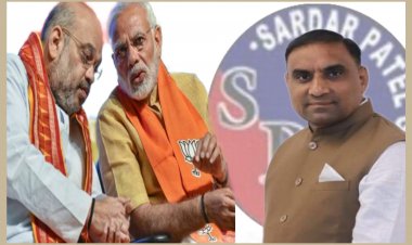 ખળભળાટ / SPG ના લાલજી પટેલ પાટીદારોના રાજકીય હિત મુદ્દે ભાજપ સામે લાલઘૂમ : ગોવિંદ ધોળકિયા મુદ્દે પણ આપ્યું નિવેદન