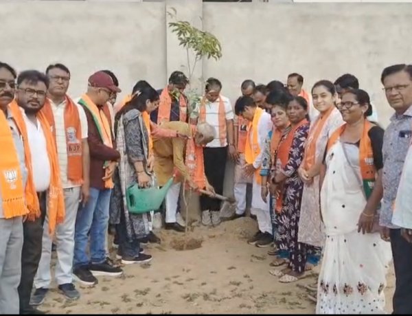 ઊંઝા ભાજપ દ્વારા વિશ્વ પર્યાવરણ દિવસની ઉજવણી :  વૃક્ષારોપણ અને પર્યાવરણ જાગૃતિનો સંદેશ